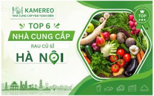 TOP nhà cung cấp rau củ sỉ Hà Nội chất lượng