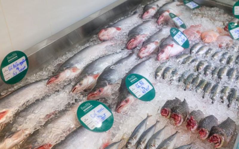 Hải sản đông lạnh và thực phẩm chế biến của Công ty TNHH San Hà phục vụ nhà hàng, siêu thị và doanh nghiệp F&B.