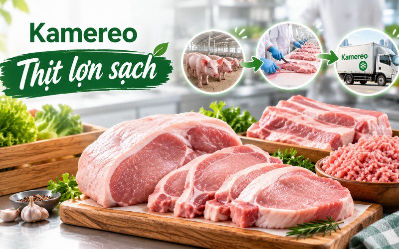 Kamereo cung cấp thịt lợn sạch Hà Nội với quy trình kiểm soát chất lượng nghiêm ngặt