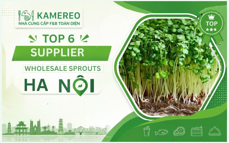 wholesale supplier of sprouts in Hanoi