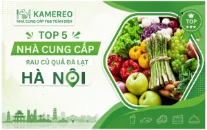 TOP Đơn Vị Cung Cấp Sỉ Rau Củ Quả Đà Lạt Hà Nội Uy Tín, Giao Tận Nơi