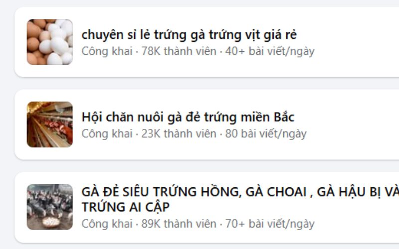 Trứng gà ta và trứng gà thả vườn từ trang trại cung cấp sỉ cho nhà hàng tại Hà Nội