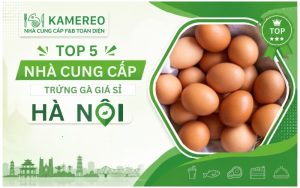 Nơi Cung Cấp Trứng Giá Sỉ Hà Nội Uy Tín, Giao Tận Nơi Cho Nhà Hàng & Bếp Ăn