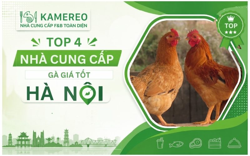 Mua gà giá sỉ ở đâu Hà Nội