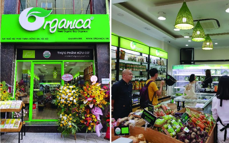 Rau củ hữu cơ Organica đạt tiêu chuẩn quốc tế dành cho khách hàng tại Hà Nội