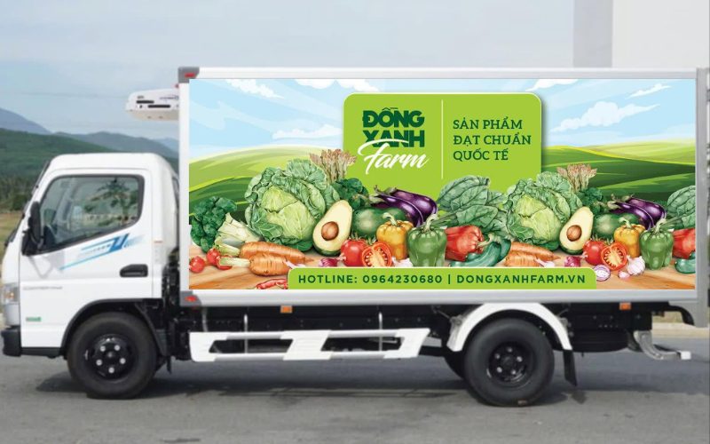 Đồng Xanh Farm cung cấp rau VietGAP số lượng lớn cho bếp ăn và nhà hàng Hà Nội