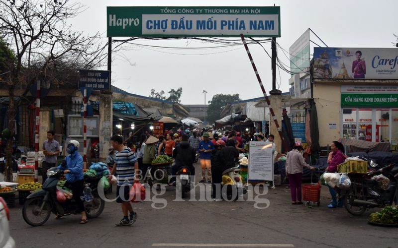 Hoạt động mua bán rau củ giá sỉ tại chợ đầu mối Đền Lừ Hà Nội vào sáng sớm