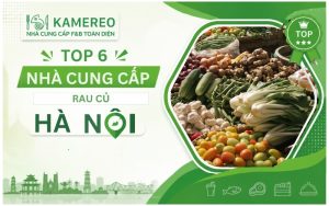 TOP Nhà Cung Cấp Rau Củ Hà Nội Uy Tín, Tươi Sạch Cho Nhà Hàng & Doanh Nghiệp