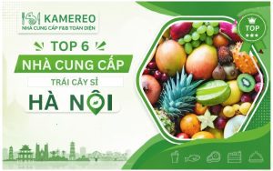 Nơi Cung Cấp Trái Cây Sỉ Hà Nội Uy Tín, Giá Tốt Cho Nhà Hàng & Kinh Doanh