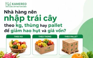 So sánh mua trái cây theo kg thùng hoặc pallet: hao hụt và giá vốn