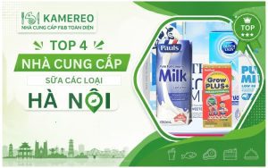 Tìm nhà cung cấp sữa các loại Hà Nội uy tín, chất lượng ở đâu