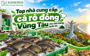 cung cấp cá rô đồng vũng tàu