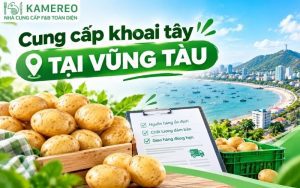 cung cấp khoai tây tại vũng tàu