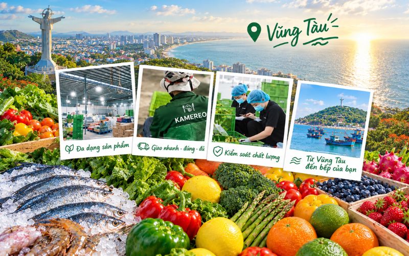 Kamereo là đơn vị cung cấp rau sạch Vũng Tàu hỗ trợ xuất hóa đơn