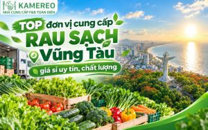 TOP đơn vị cung cấp rau sạch Vũng Tàu giá sỉ uy tín, chất lượng