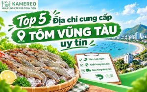 cung cấp tôm vũng tàu