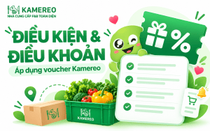 Điều khoản và Điều kiện áp dụng voucher Kamereo sự kiện Flavors Vietnam 2026