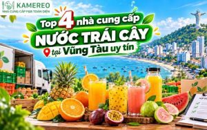 nhà cung cấp nước trái cây tại vũng tàu
